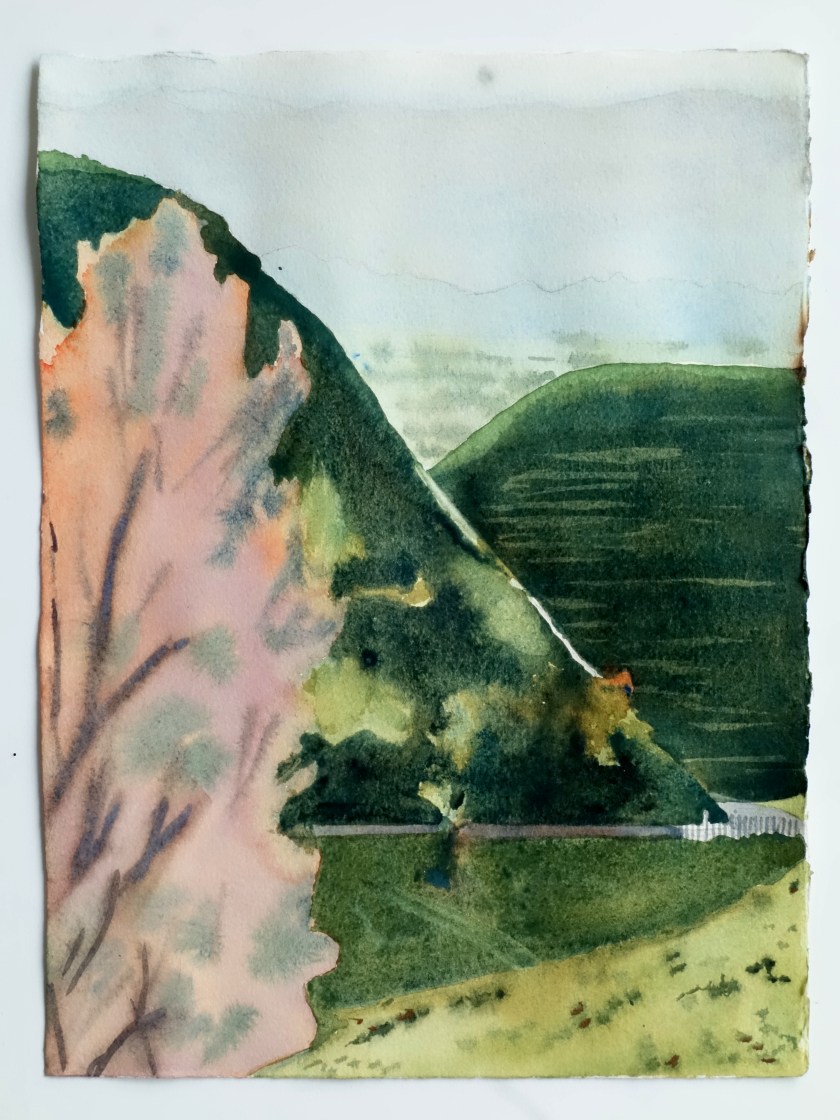 AdmiralHill Big Tree 4