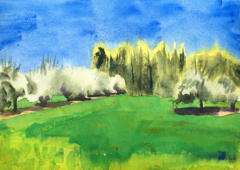 Apple Trees 12